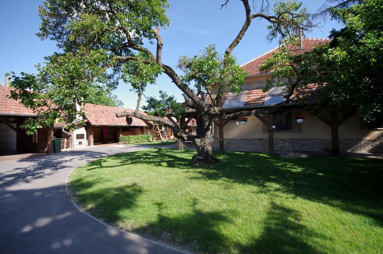 Villa Rusztika 귤러 외부 사진